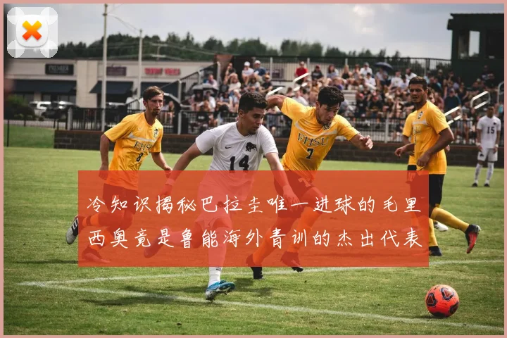冷知识揭秘巴拉圭唯一进球的毛里西奥竟是鲁能海外青训的杰出代表