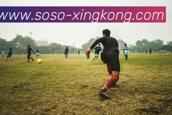 APP界面展示